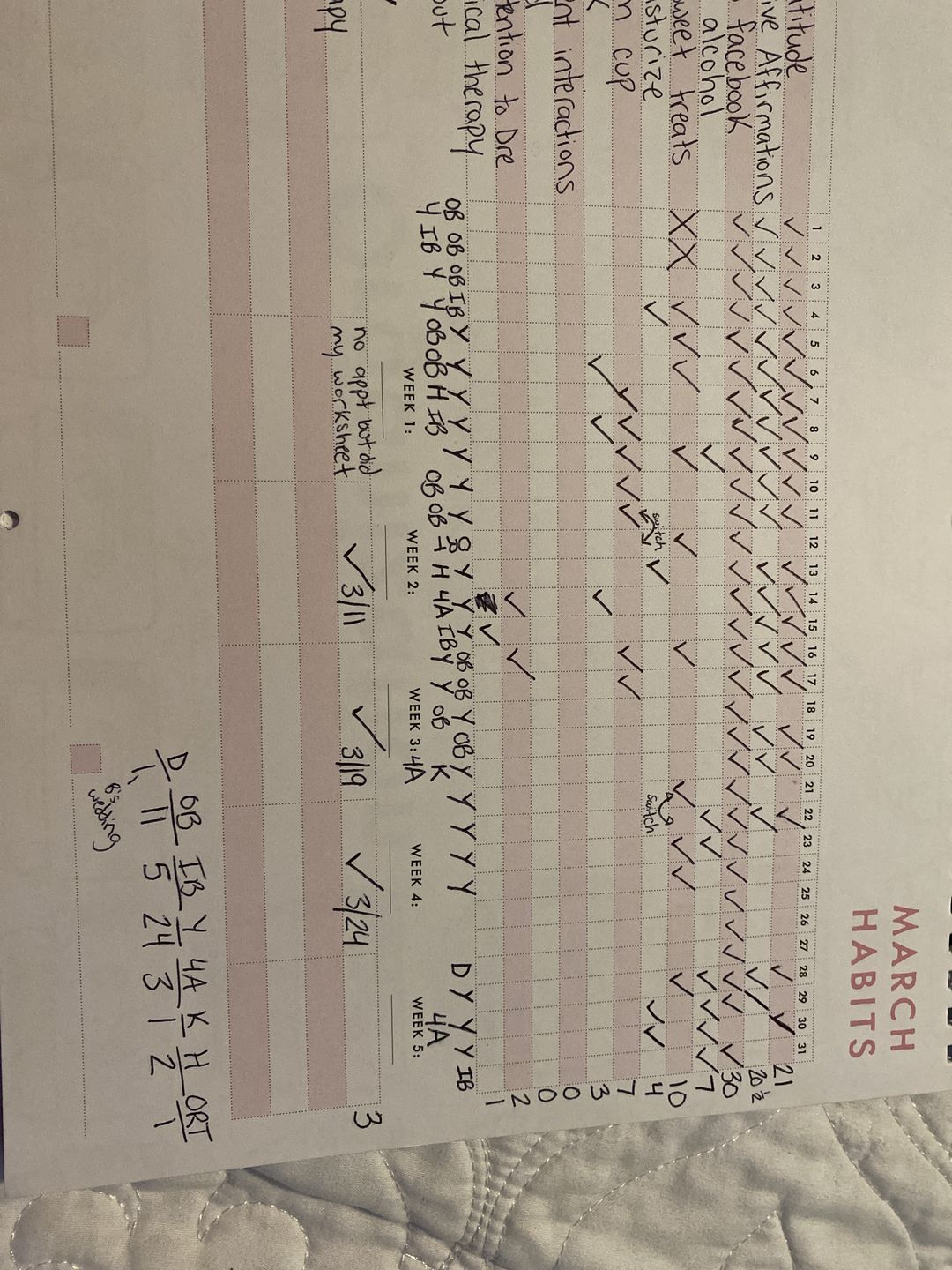 Customer photo review of Habit Tracker Calendar