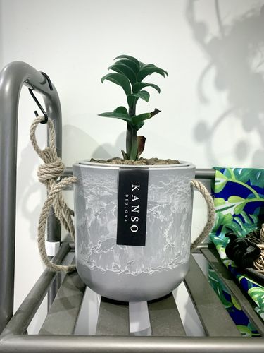 Customer photo review of 4" Signature Stone Hanging Planter