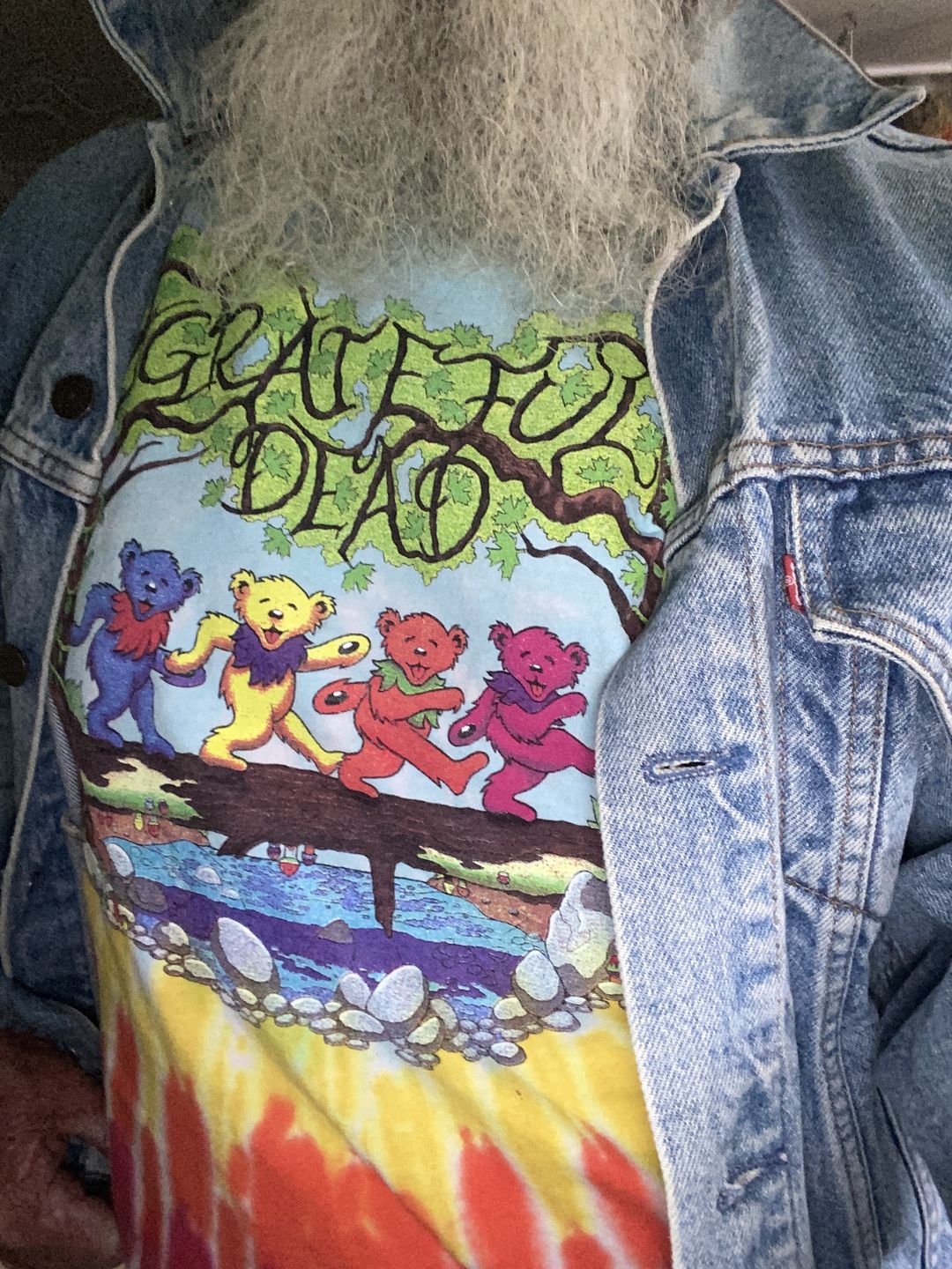 Customer photo review of Grateful Dead Wood Bears Tie Dye T Shirt