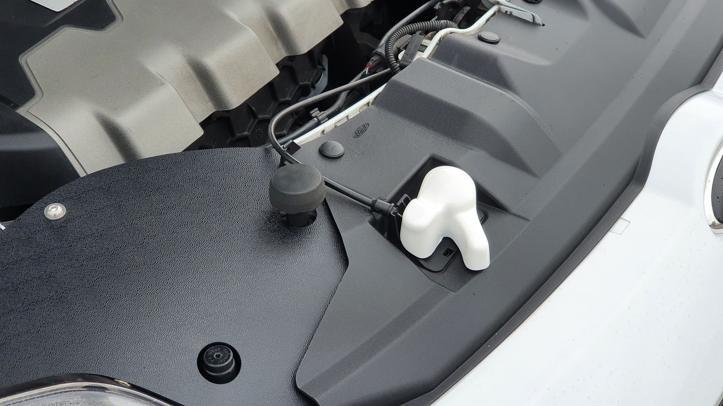 Customer photo review of Proform Bonnet Catch Cover (various colours) - MK3/ 3.5 Focus