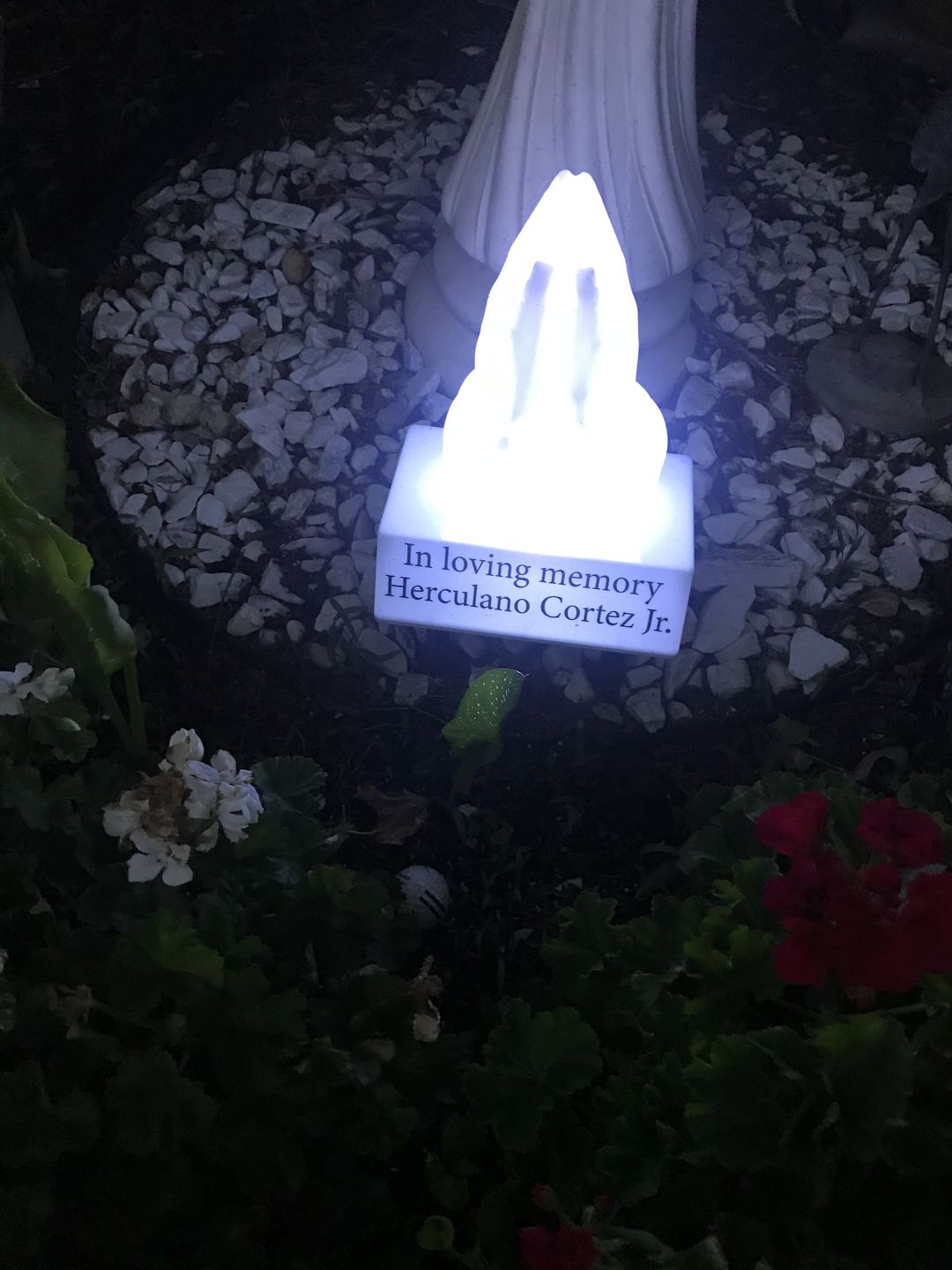 Customer photo review of Eternal Light Praying Hands