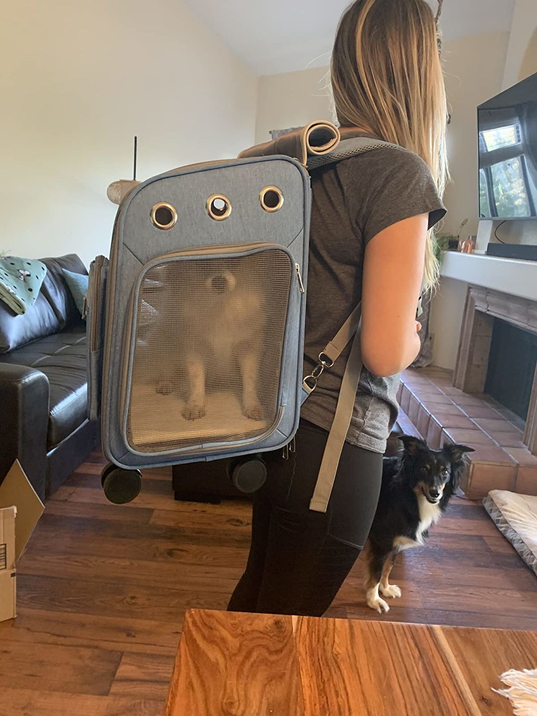 Customer photo review of Lithe™ - Pet Travel Backpack Carrier