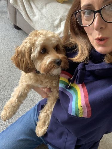 Customer photo review of New In. Distressed Navy Rainbow Cowl Neck Hoodie