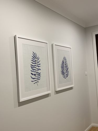 Customer photo review of Blue Fern II