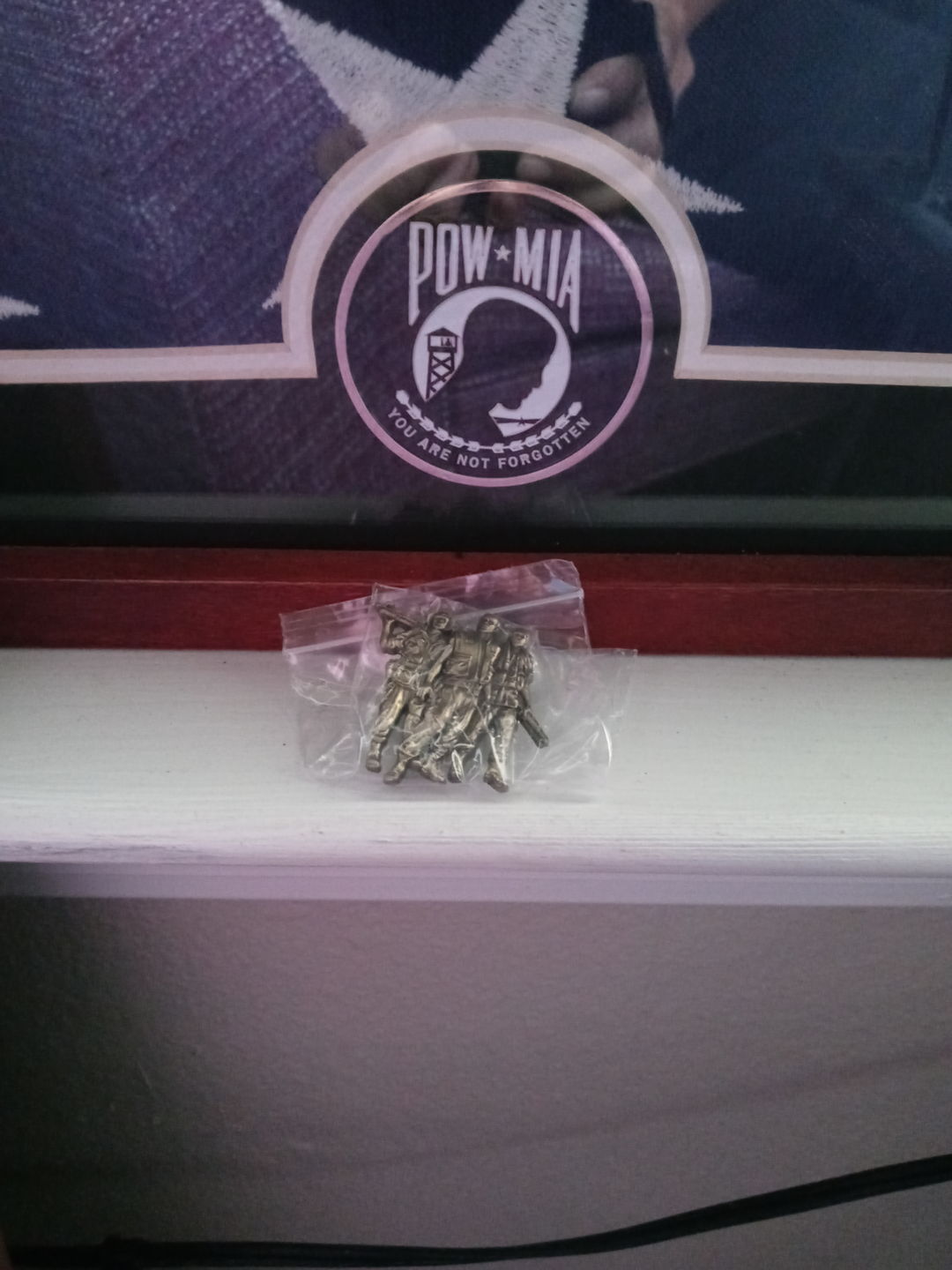 Customer photo review of Vietnam Veteran Pin