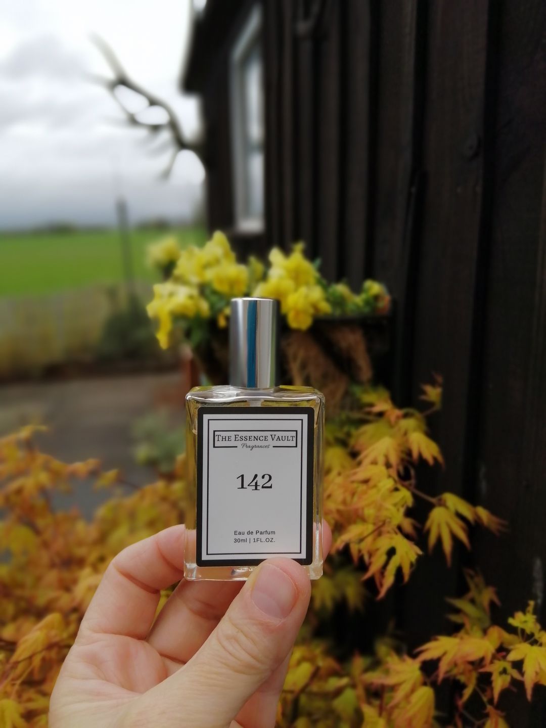 Customer photo review of Inspired by Pomegranate and Noir - 142