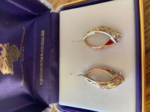 Customer photo review of Black Hills Rose Gold Colorful Earrings