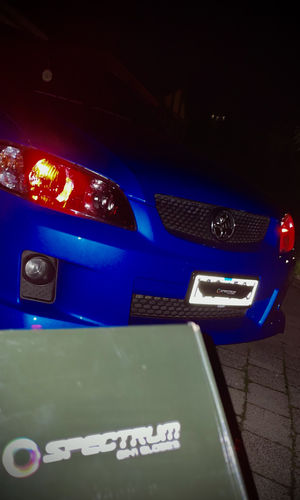 Customer photo review of T10 LED Globes