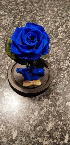 Customer photo review of Mini Everlasting Rose - Royal Blue
