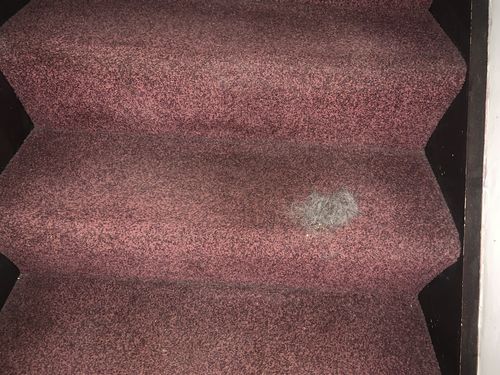 Customer photo review of Lint Swept™ Lint Roller Shaver