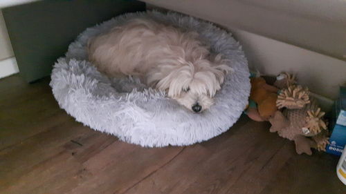 Customer photo review of Puppery Kuschelbett - Das Original