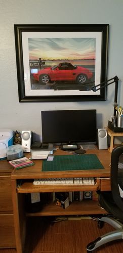 Customer photo review of Custom Car Portrait
