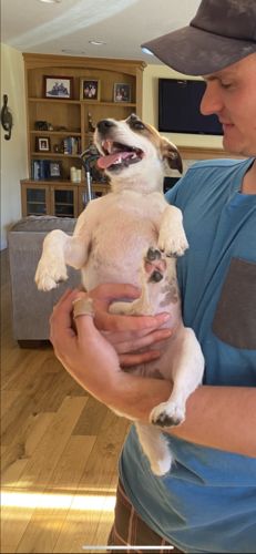 Customer photo review of NutraLeaf® Vegan Fat Burner