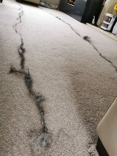 Customer photo review of Lint Swept™ Lint Roller Shaver