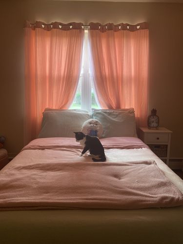 Customer photo review of Super Soft Ombre Bohemian Bed Set