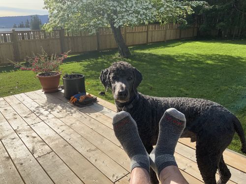 Customer photo review of J.B. Field's "Hiker GX" 1/4 Low-cut Merino Wool Hiking Sock