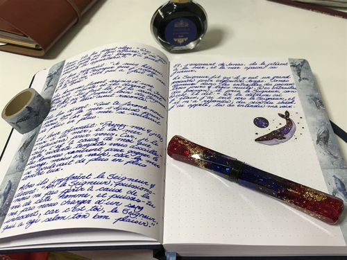 Customer photo review of Tsuki 'Gentle Giant' Limited Edition Bullet Journal ☾