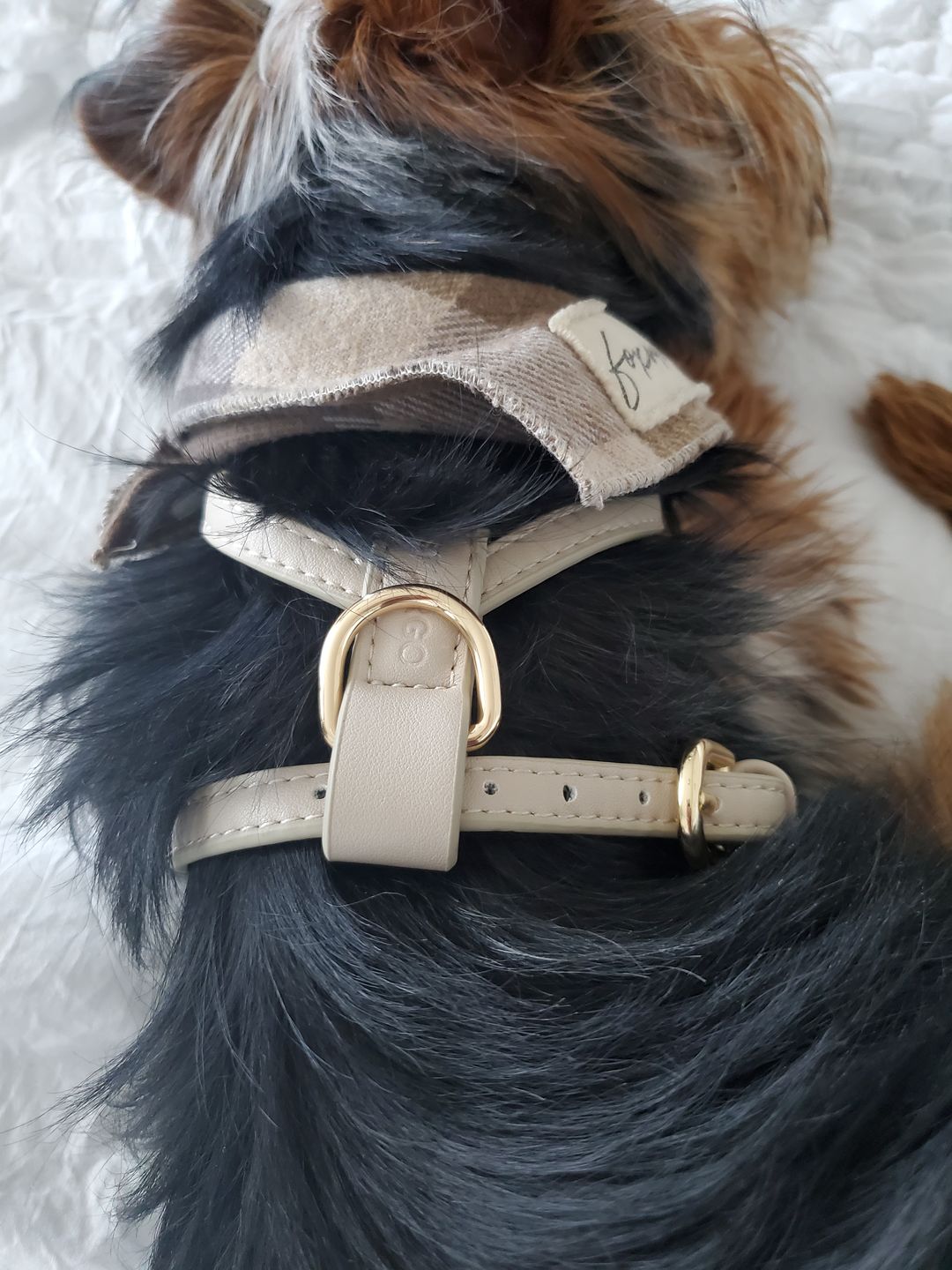Customer photo review of HARNESS - Taupe