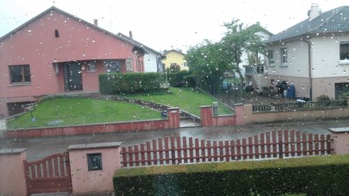 Customer photo review of Côte de boeuf Aberdeen Angus 1,2kg | Wexford, Irlande