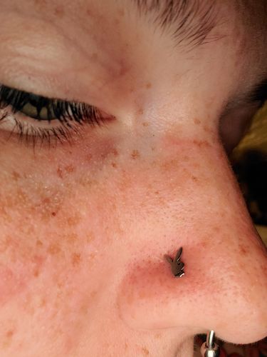 Customer photo review of Playboy Bunny Top L-Bend Nose Ring