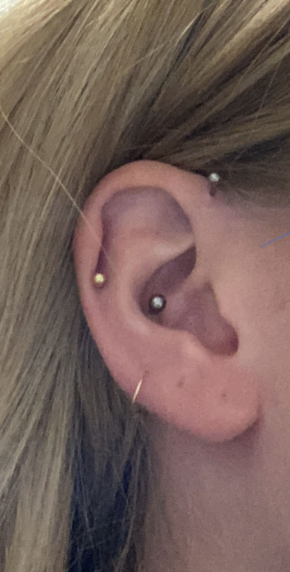 Customer photo review of Cartilage/Nose Hoop