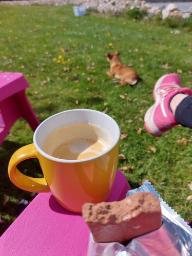 Customer photo review of Chocolate Lovers Mixed Pack