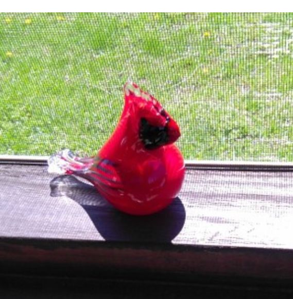 Customer photo review of Glass Cardinal with Infused Cremation Ashes