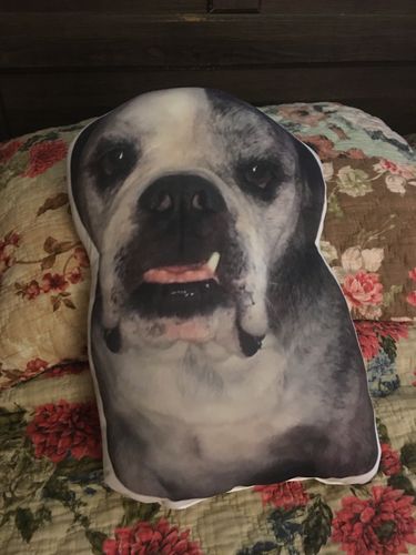 Customer photo review of Create A Custom Dog Pillow