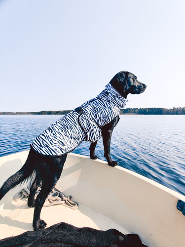 Customer photo review of Cool & Bug Vest - Repeltec for dogs - Available in June