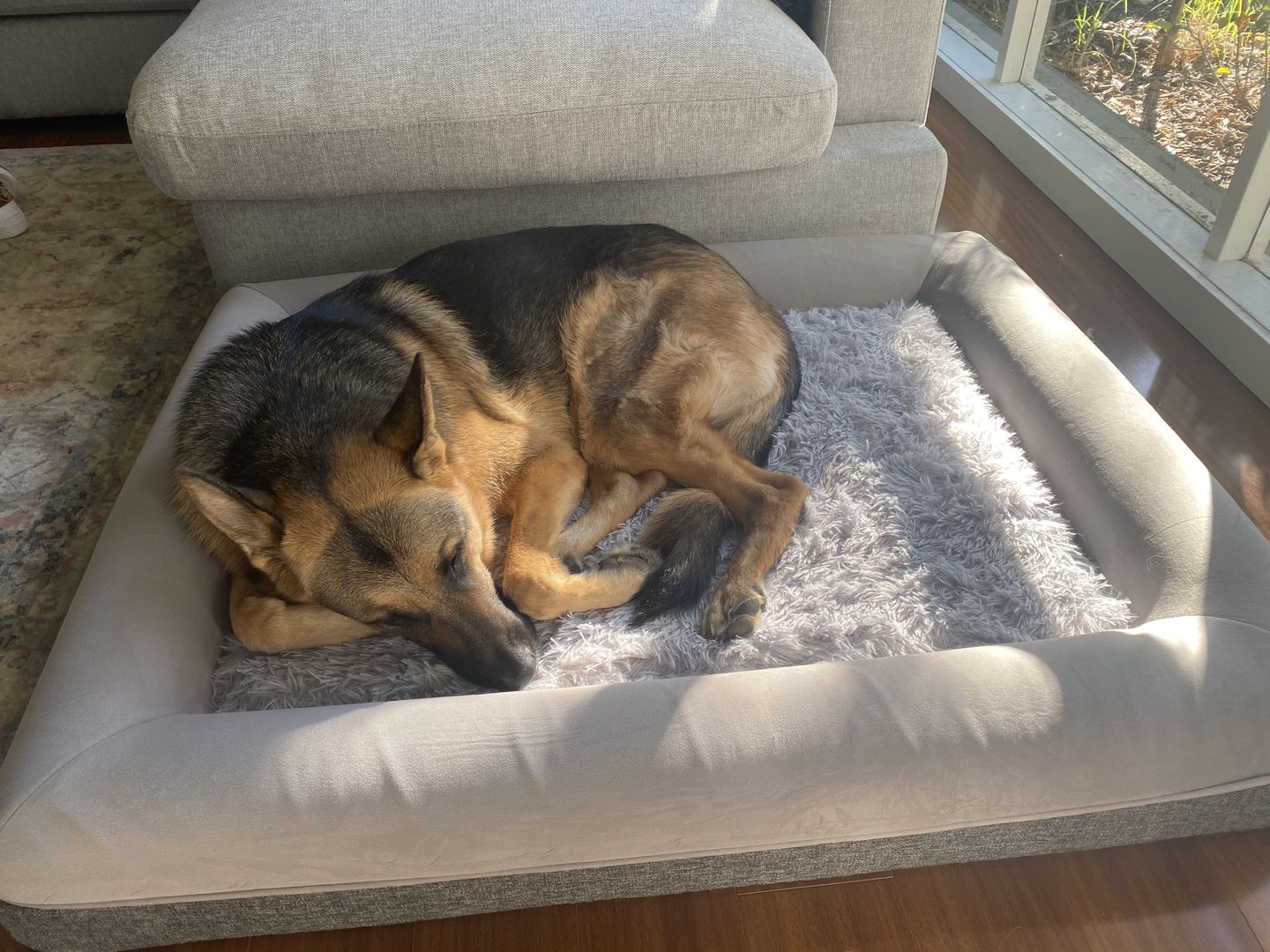 Customer photo review of Calming Bed Cover for Kangaroo Bed