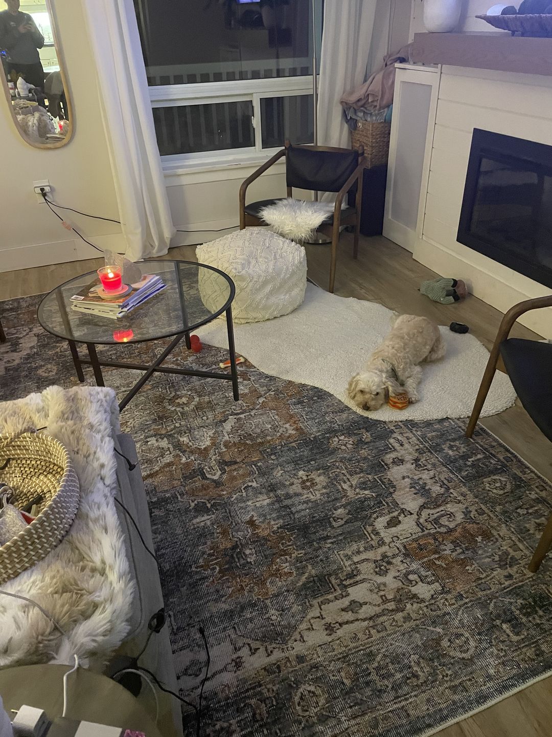 Customer photo review of Distressed Vintage Cezanne Rabbit Gray Inca Gold Area Rug