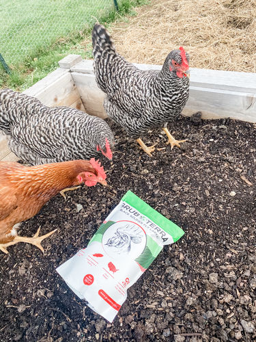 Customer photo review of GrubTerra Dried Larvae