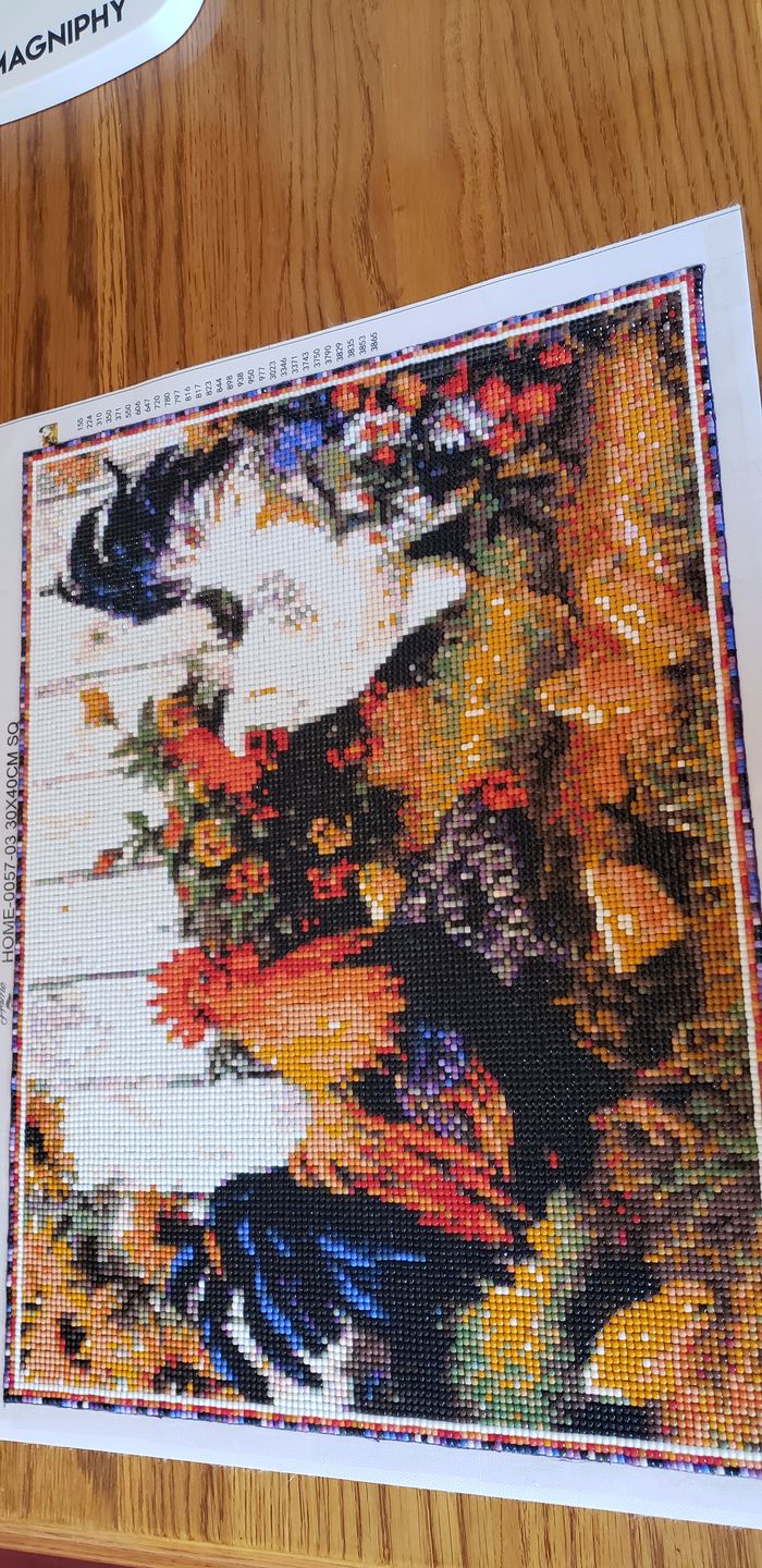 Customer photo review of Chickens - Diamond Painting Kit