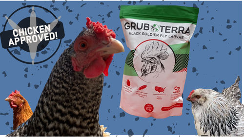 Customer photo review of GrubTerra Dried Larvae