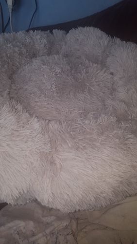 Customer photo review of Calming Fluffy Pet Luxury Bed