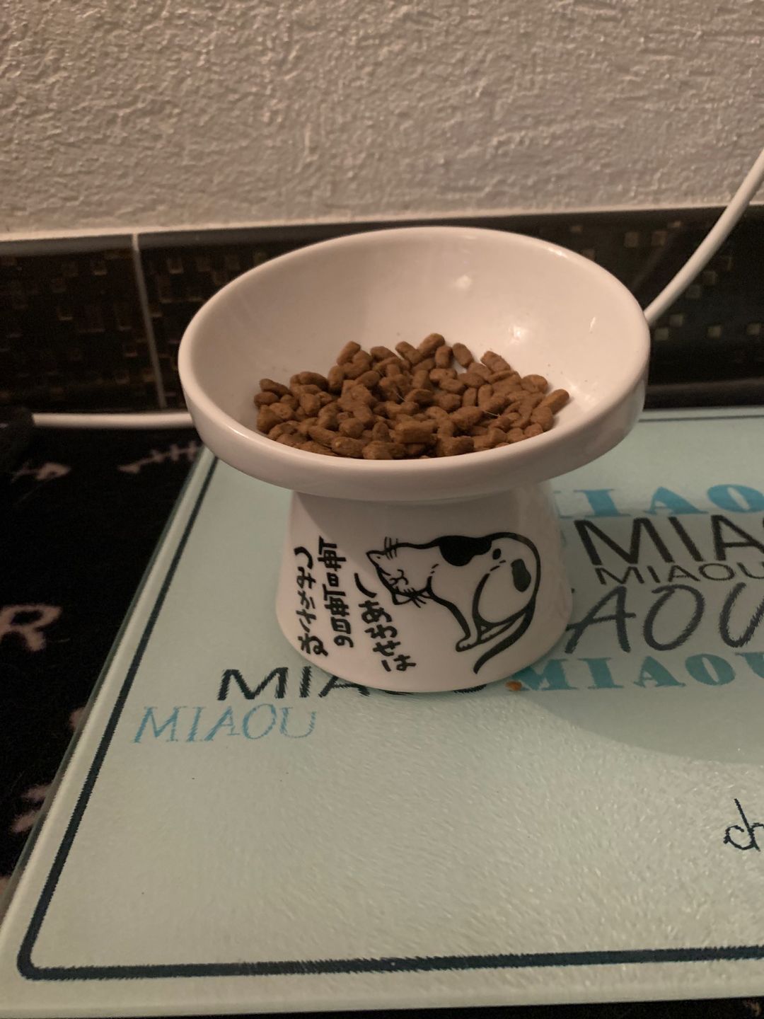 Customer photo review of Neko Raised Bowls