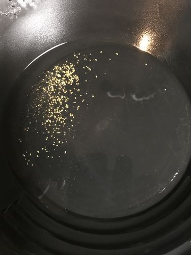 Customer photo review of '150 GRAM GOLD HUNT' - ELITE Gold Paydirt Panning Concentrates