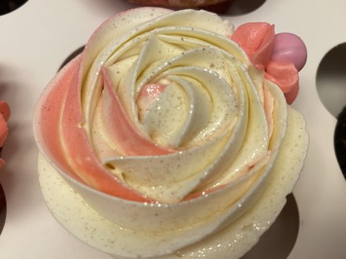 Customer photo review of CHAMPAGNE ROSE GOLD PRISM POWDER®