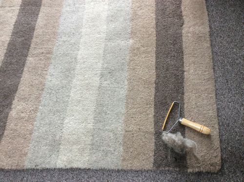 Customer photo review of Lint Swept™ Lint Roller Shaver