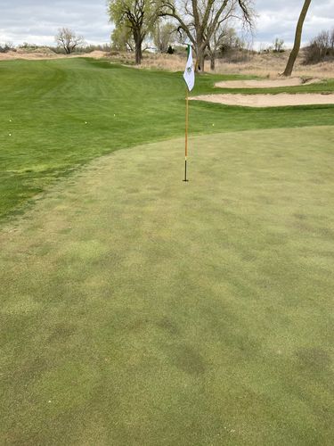 Customer photo review of HT-1000 Laser Rangefinder w/Slope