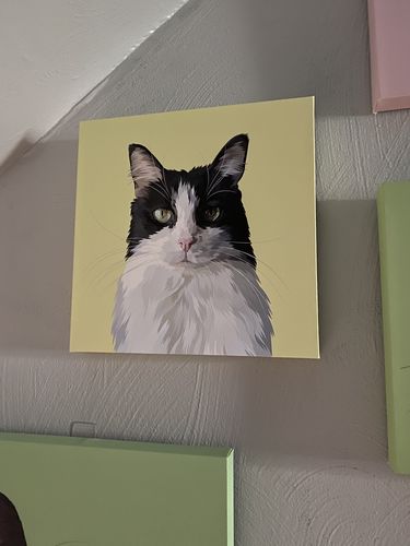 Customer photo review of Custom Wrapped PetCanva