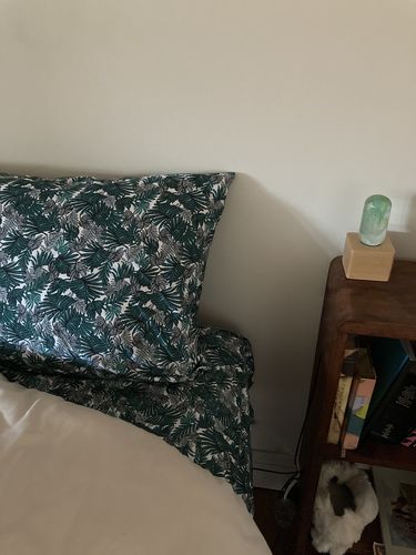 Customer photo review of Aja Sheet Set by Jungalow®