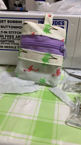 Customer photo review of SSOL Airpod Case / SG TraceTogether Token Holder Pattern