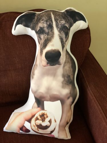 Customer photo review of Create A Custom Dog Pillow