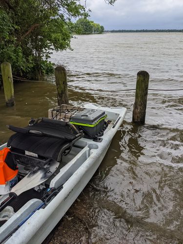 Customer photo review of Pelican™ 14QT Personal Cooler & Dry Box