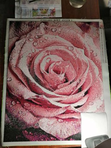 Customer photo review of 5D Diamond Painting Rosa Infinity Rose