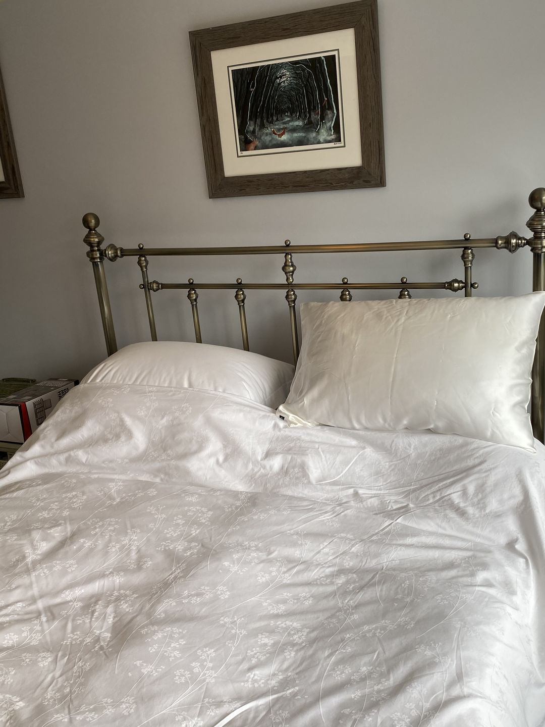 Customer photo review of Ivory Pure Silk Pillowcase