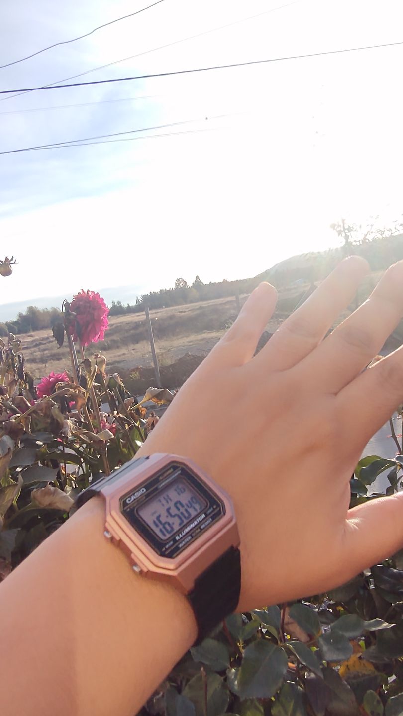 Customer photo review of Reloj Casio Vintage W-217HM-5AVDF Rosado