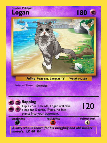 Customer photo review of PokePet Canvas