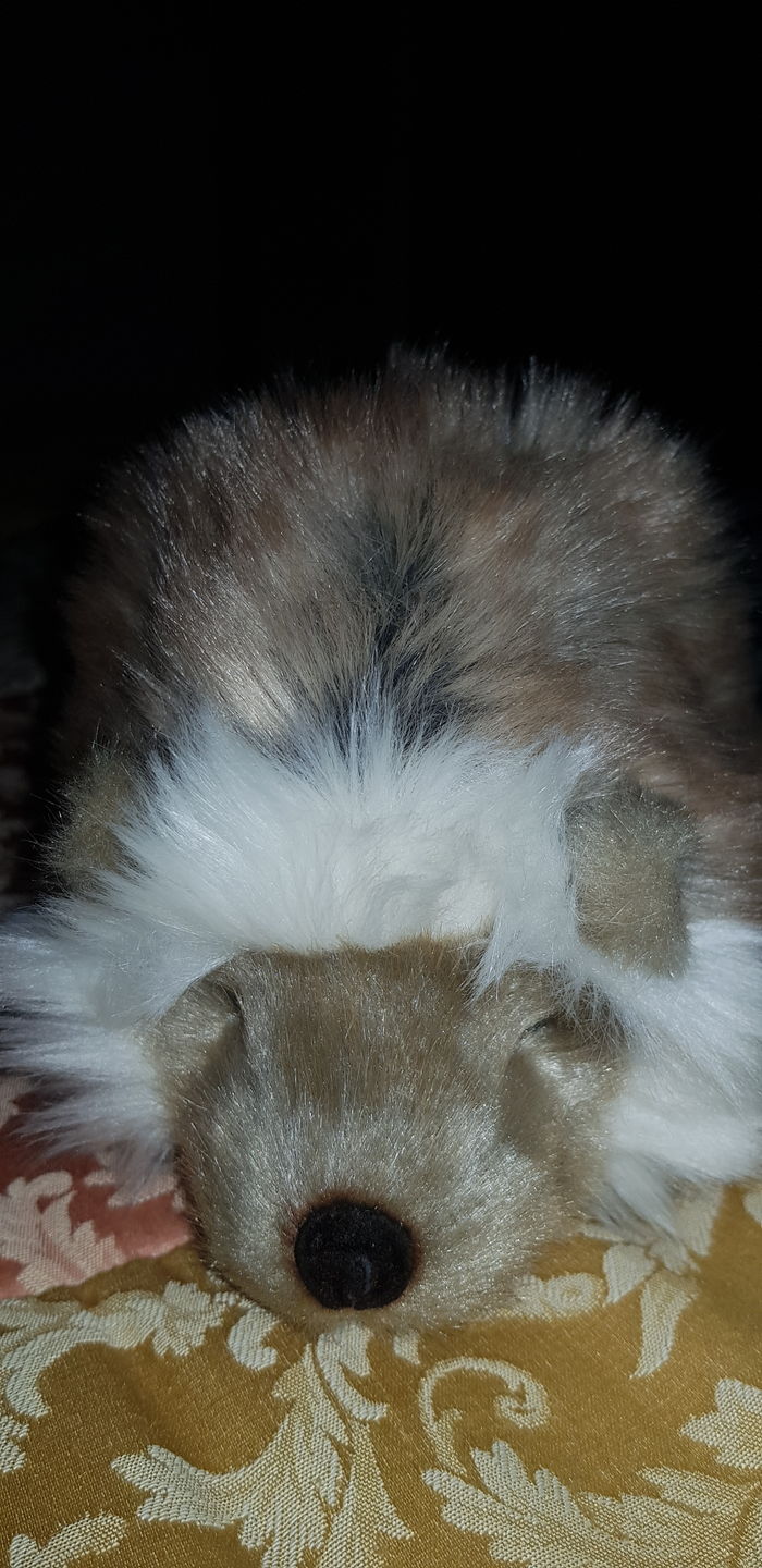 Customer photo review of Ma peluche Hérisson Alfred